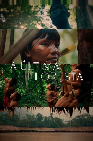 A Última Floresta